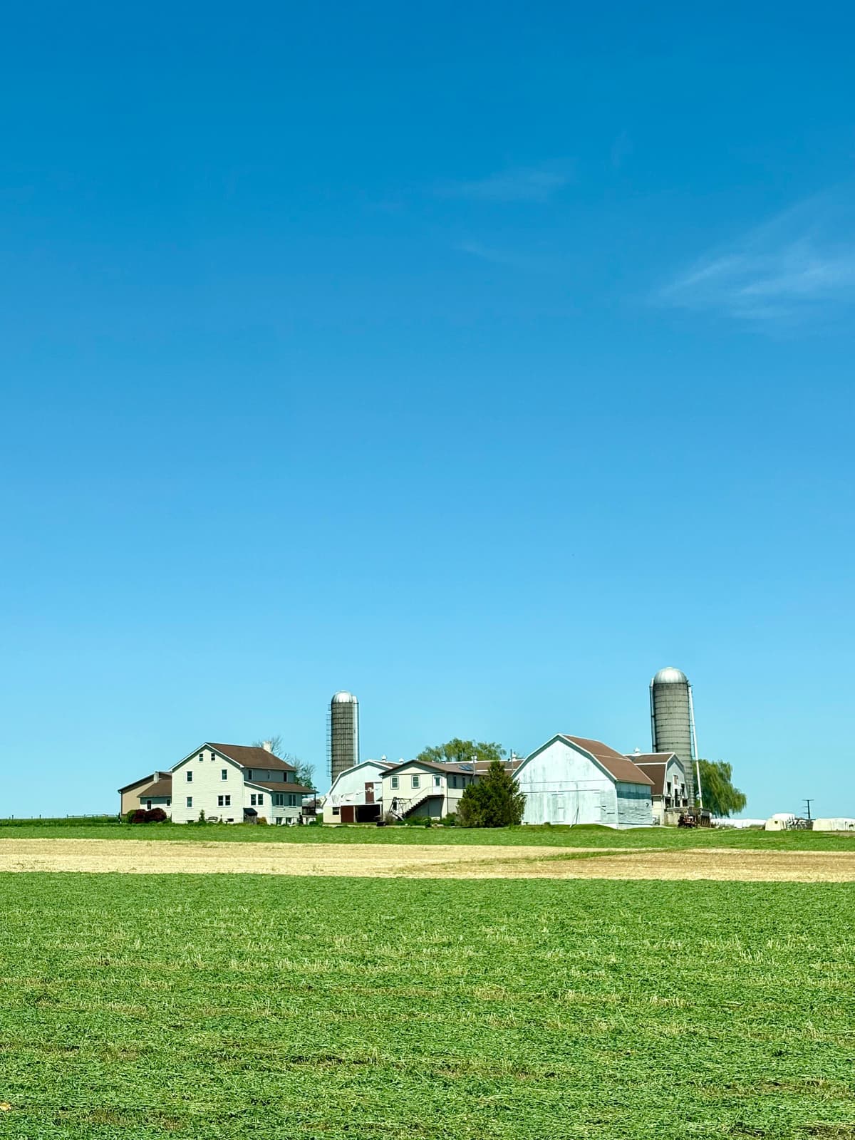 Sunnydays Family Farm (Example) โ local food producer in Alberta